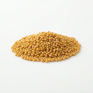 Rai (Mustard Seeds)